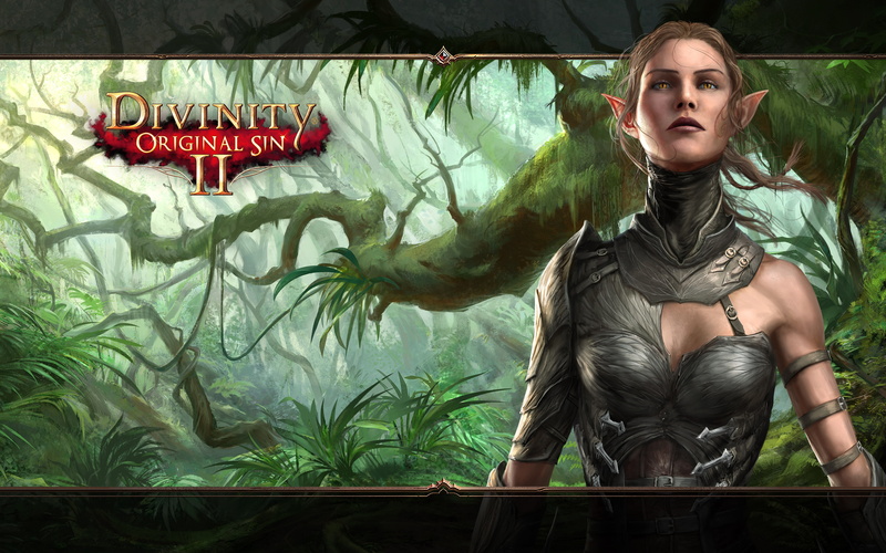 Divinity: Original Sin II, Video Game, 4K