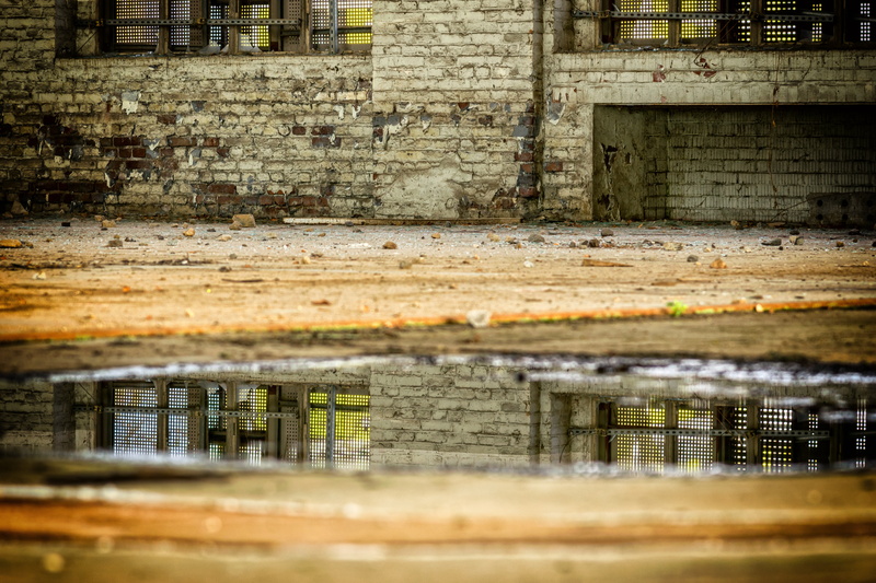 transience, defocused, city, mirroring, outdoors, close-up, reflections, run down, leave, forget, weathered, factory hall, grate, run-down, dirty, entrance