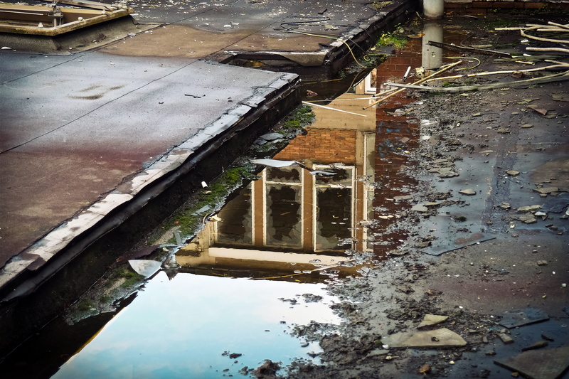 history, stock, building, lost places, destroyed, city, water, transience, transient, old, cold temperature, built structure, factory building, reflection