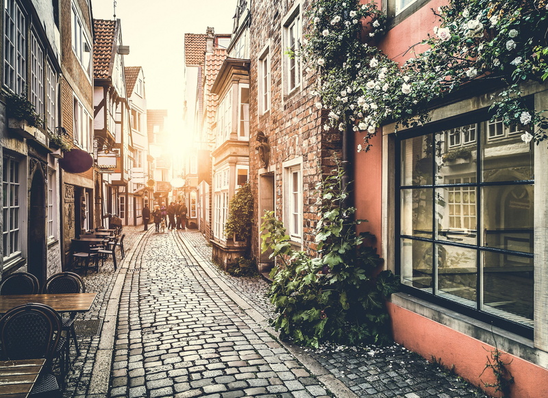 alley, the way forward, direction, nature, outdoors, no people, sunlight, city, footpath, street, cobblestone, 4K, plant, building, built structure, transportation