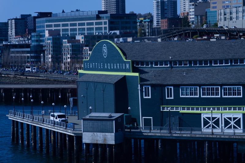 office building exterior, city, pacific northwest, architecture, day, no people, western script, water, nature, skyscraper, outdoors, connection, united states