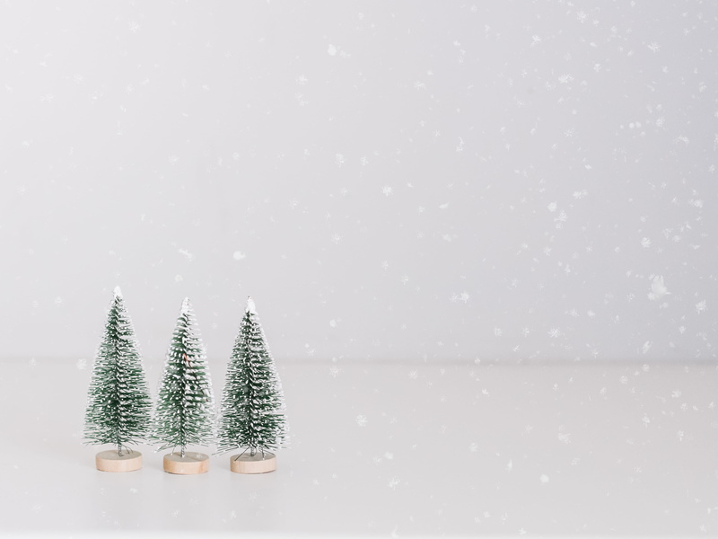 tree, christmas tree, green, celebration, plant, white color, christmas ornament, chrismas, winter, nature, 4K, coniferous tree, trees, christmas decoration