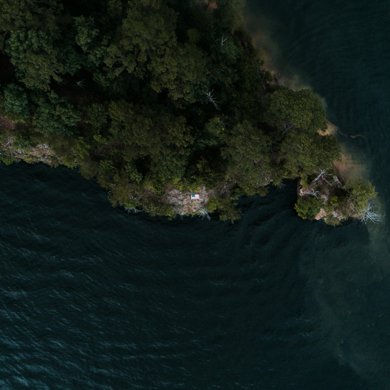 high angle view, plant, united states, america, nature, independenceday, tranquility, growth, no people, flag, sea, textured, beauty in nature, 2K, rough