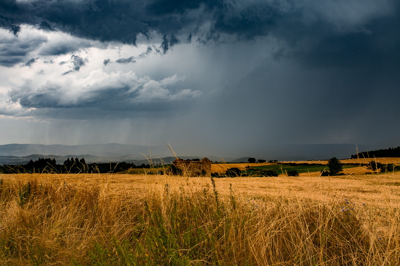 tranquil scene, non-urban scene, outdoors, scenics - nature, beauty in nature, 5K, auvergne, agriculture, landscape, plantation, cloud - sky, plant, light