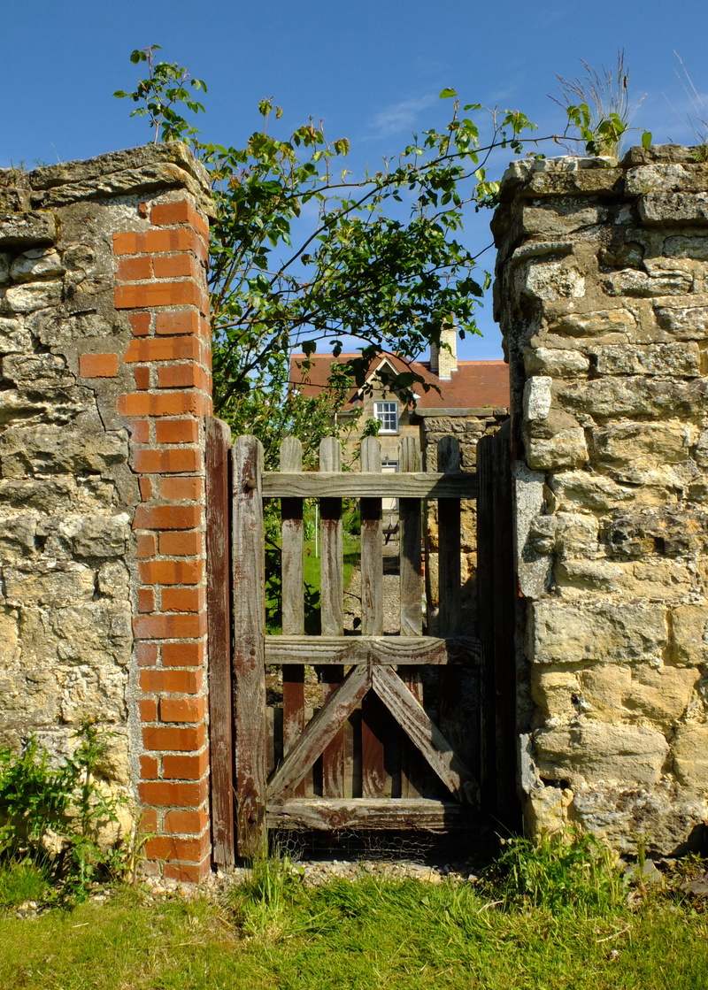 castle, the past, ryedale, old, plant, building exterior, entrance, agriculture, sky, architecture, day, nature, deterioration, house, outdoors, ruined