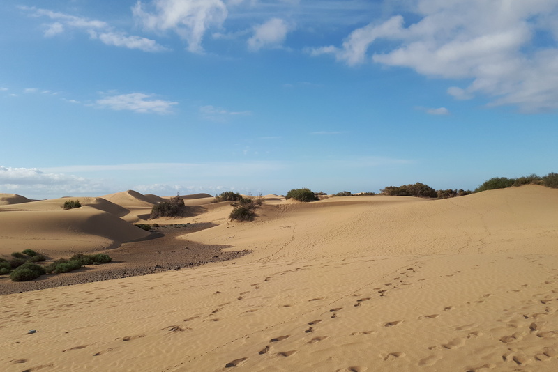 africa, canary islands, 4K, outdoors, spain, gran canaria, sand dunes, arid climate, tranquility, beach, sahara Desert, sand Dune, landscape, scenics - nature