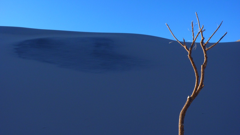 scenics, white dune, argentina, tranquility, blue, beauty in nature, landscape, wood, dry, arid climate, dead plant, low angle view, bare tree, nature