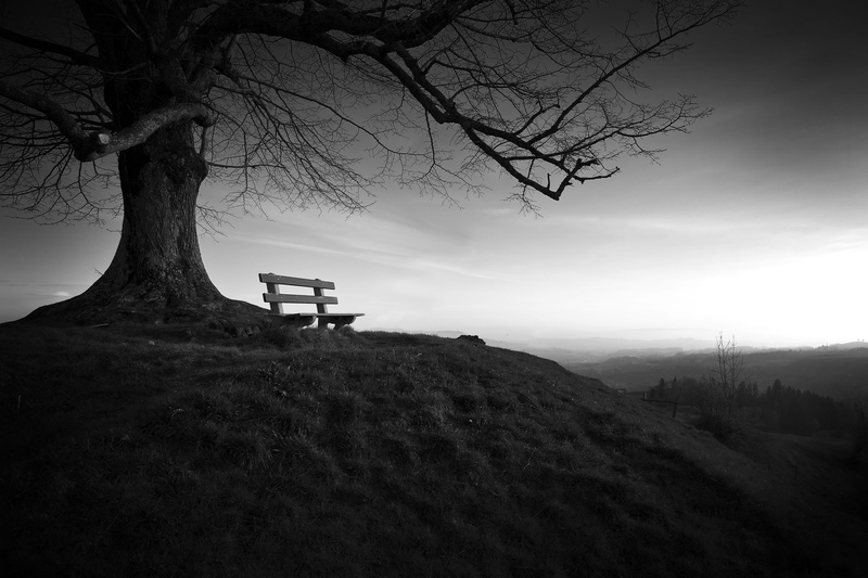 landscape, one person, beauty in nature, natural, tranquil Scene, scenics - nature, tranquility, environment, land, tree, sky, scenics, bare tree, wooden