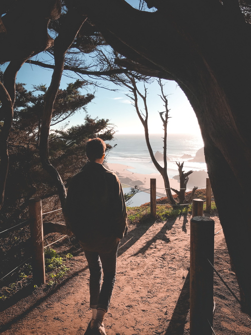 apparel, sky, banister, united states, walking, nature, tree, light, standing, leisure activity, one person, outdoors, land, trail, tree trunk, sunset