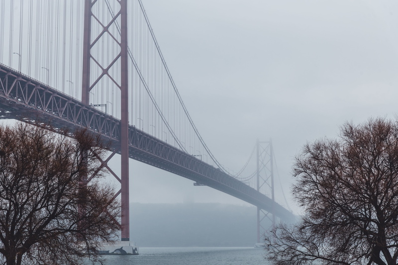 outdoors, water, bay, travel, engineering, transportation, tree, bridge, connection, built structure, cars, 25 de abril bridge, tourism, architecture, 8K