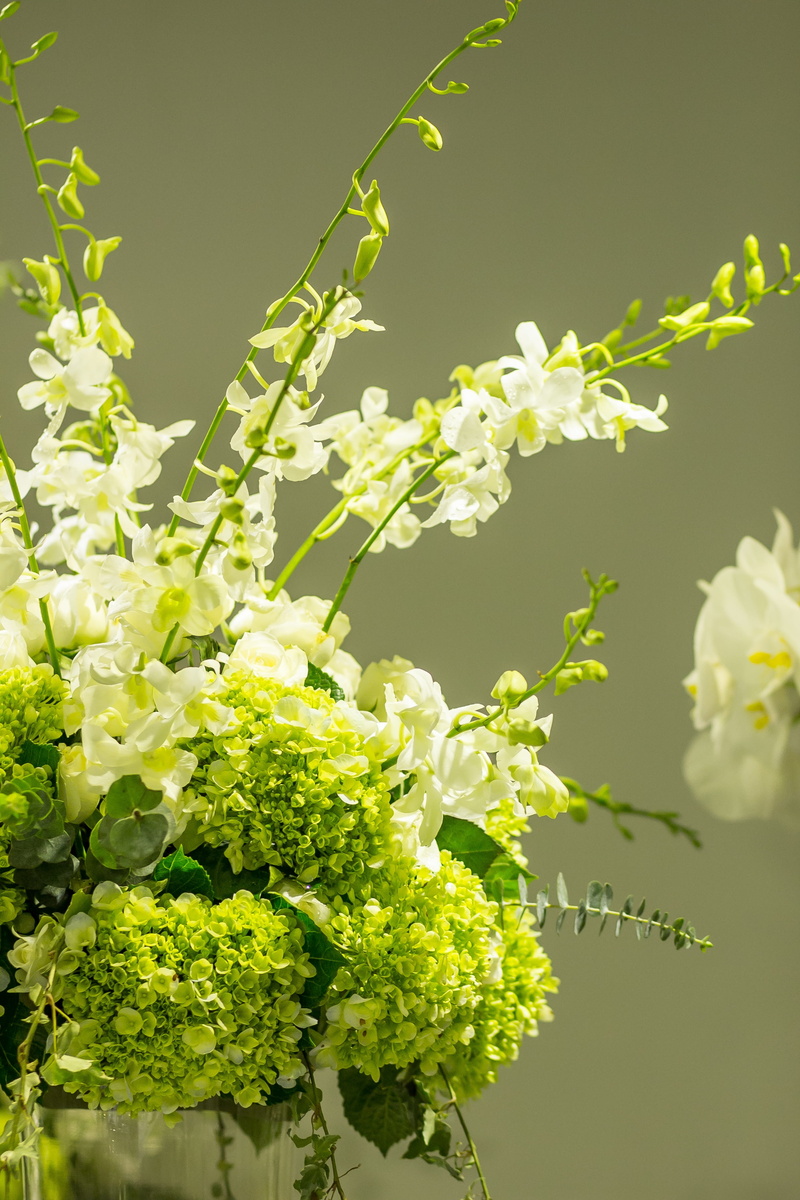 beauty, Beautiful, plant part, fork, Fresh, focus on foreground, green, dao, white color, elegant, flower head, natural, flowers bloom, travel, Nice, vulnerability