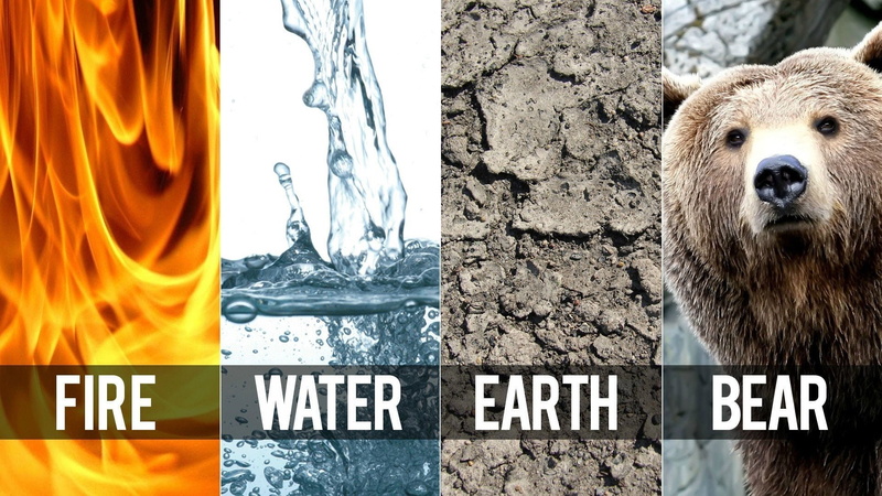 Avatar, water, elements, animals, bears, panels, fire, Earth, collage, humor, 1080P, air