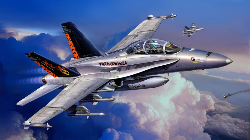 1080P, F/A-18D, McDonnell Douglas, attack, American carrier-based fighter-bomber, Hornet Wild Weasel, double combat trainer version of the F/A-18C
