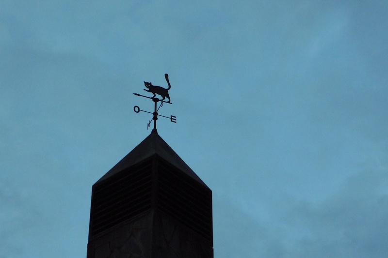 cardinal points, weather vane, architecture, compass rose, air, this, blue, building exterior, animal representation, building, wind, clouds, fireplace