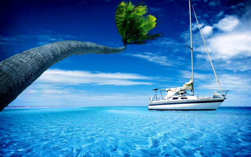 download, heat, hd s, for computers, for desktop, boats, palm trees, boat, hd, Palma, the desktop, water, yacht, yachts, the best s for your desktop, the sky