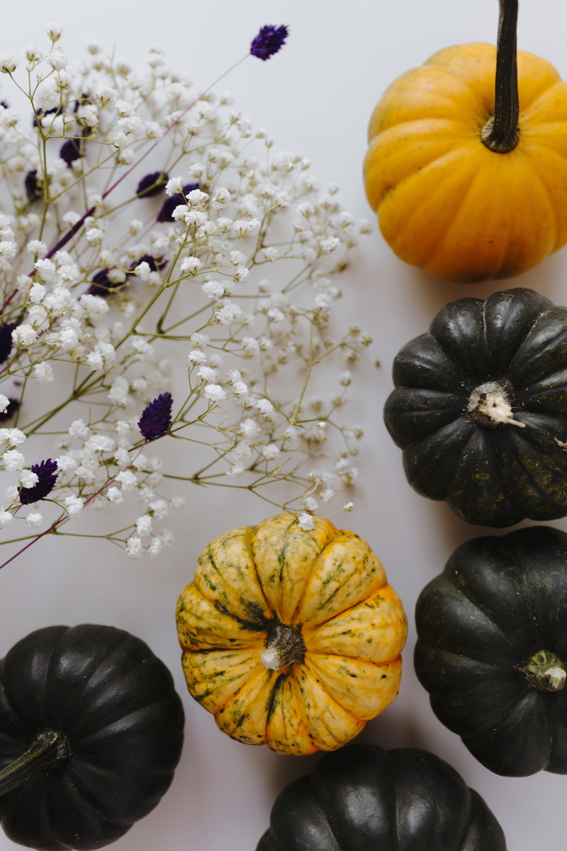 growth, dark, vegetable, yellow pumpkin, healthy eating, halloween, background, close-up, ripe, flat lay, green, beauty in nature, small, october, nature