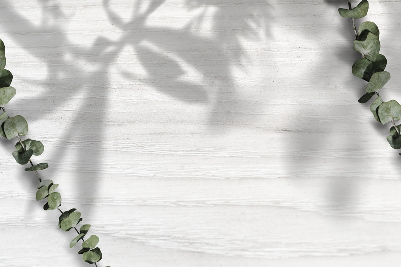 product backdrop, plant part, branch, paled, leaf, eucalyptus, decoration, high angle view, shadow, design space, copy space, backdrop, decor, plank, wood - material