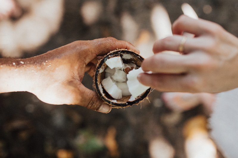 aggression, coconut shell, one person, human body part, claw, coconut, healthy, top, boy hand, animal wildlife, animal body part, seychelles, 4K, hand