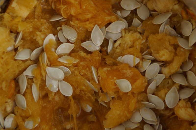 inner workings, directly above, texture, pumpkin, background, animal, freshness, pulp, pumpkin seeds, scrape out, food and drink, snack, variation, 5K