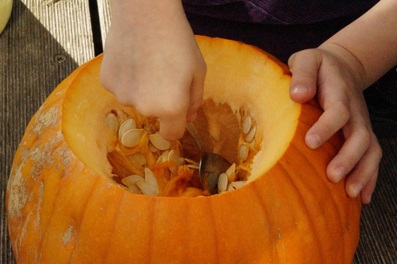 hand, pumpkin ghost, halloweenkuerbis, preparing food, seasonal, human hand, human limb, thanksgiving, close-up, pumpkin, food and drink, day, adult, wood - material