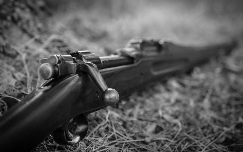 land, focus on foreground, no people, day, close-up, selective focus, m1917 enfield, metal, War and Army, security, 1080P, safety, plant, army, weapon