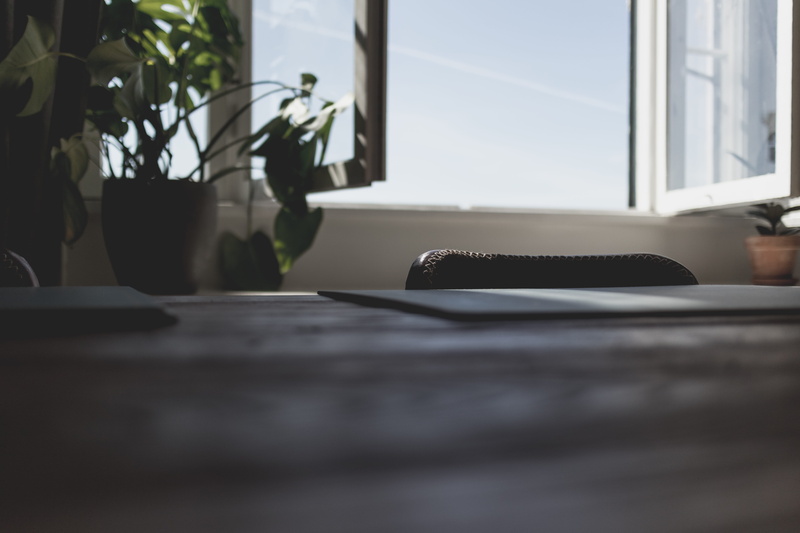 surface level, green leaf, table, laptop, brown, office, business, selective focus, window, light, no People, connection, keyboard, technology, desk, wooden