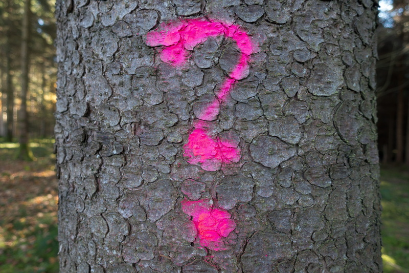 tree, plant bark, log, characters, form, nonverbally, trunk, communication, emitting color, growth, pink color, question mark, love, textured, symbol, brown