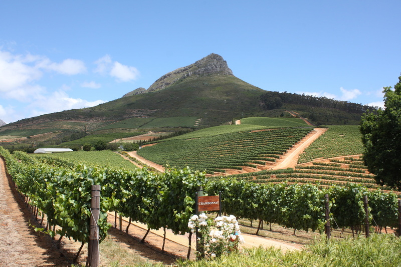 growth, mountain, rural scene, outdoors, winelands, no people, landscape, 2K, tranquil scene, weingut delaire graff, winery, scenics - nature, winemaking