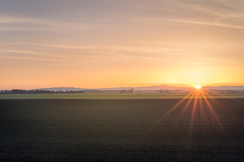airport runway, orange color, land, sunlight, across, no People, grass field, landscape, lens flare, orange, blue, soil, tranquility, sky, sunrise - Dawn