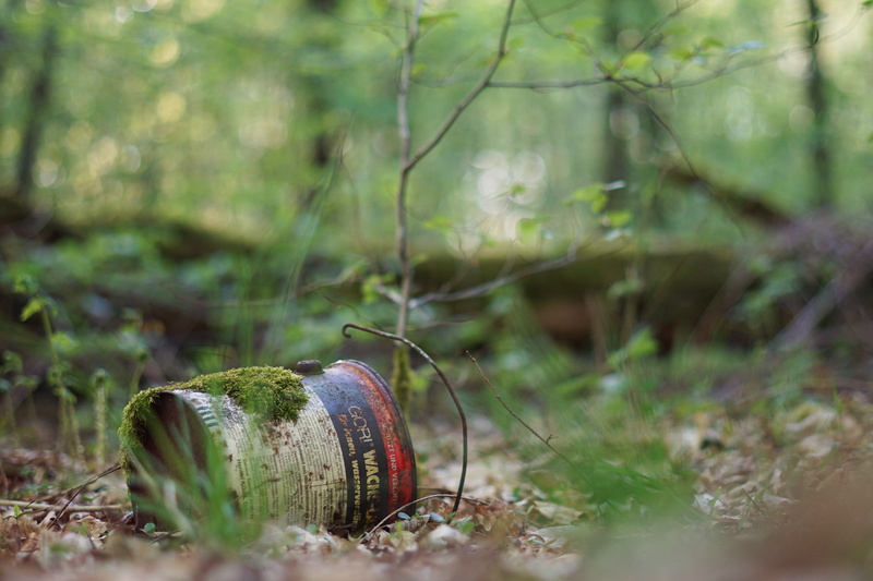 nature, illegal, stainless, vegetable, forest, disposal, green, color box, forest floor, pollution, box, plant, weathering, animal wildlife, environment