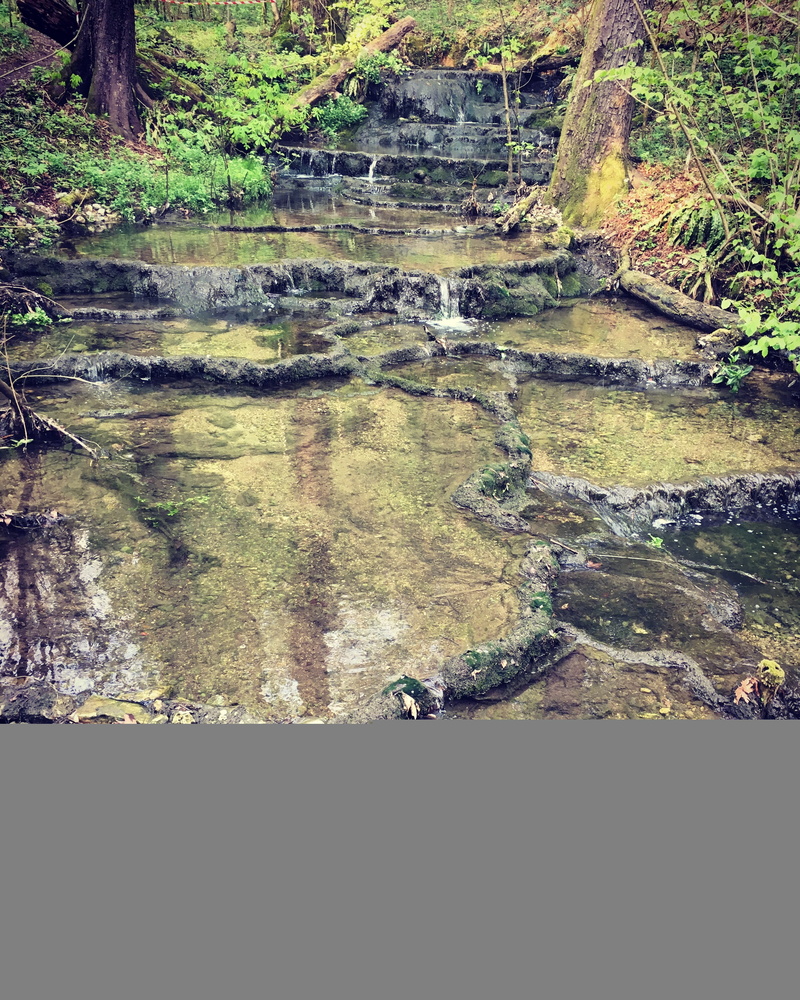non-urban scene, flowing water, day, evergreen, tree, natural swimming pools, flowing, scenics - nature, plant, nature, mountain, 2K, forest, horrid, green