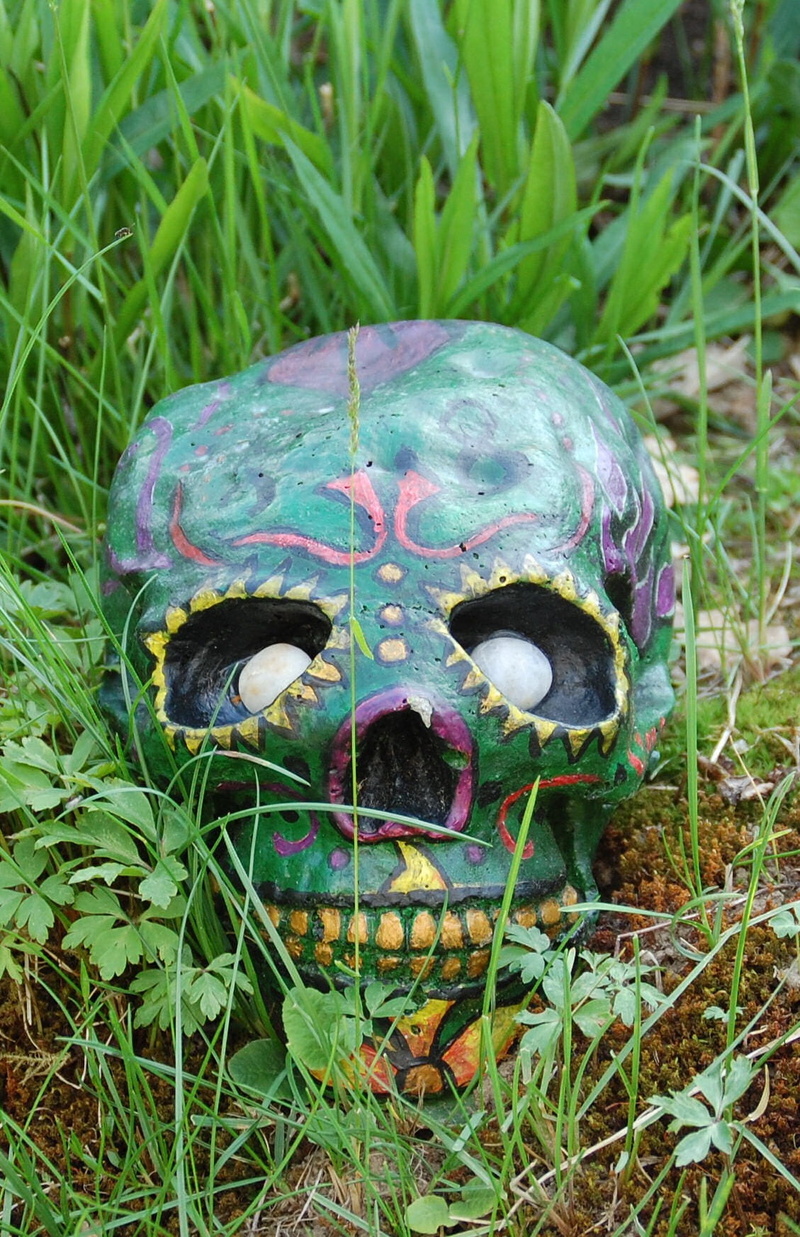 ill, Skull, plant, decoration, 720P, nature, Bone, growth, scary, no people, land, field, spooky, die, decor, grunge, murder, dead, zombie, fatal, Halloween