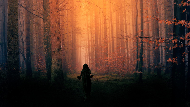 tree trunk, land, beauty in nature, leisure activity, kid, spook, nightmare, girl, plant, woodland, standing, growth, forest, real people, nature, walking