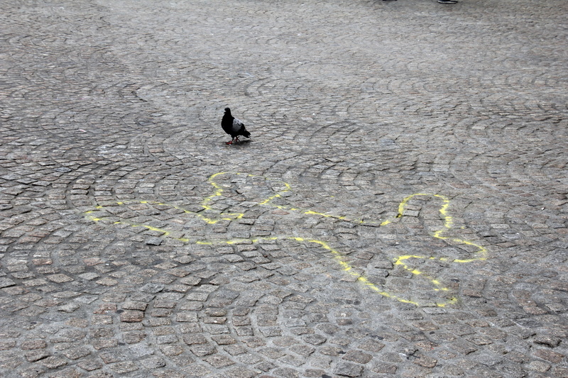 outdoors, road, day, chalk drawing, animal wildlife, drawing - art product, outline, street, no people, vertebrate, bird, offence, transportation, high angle view