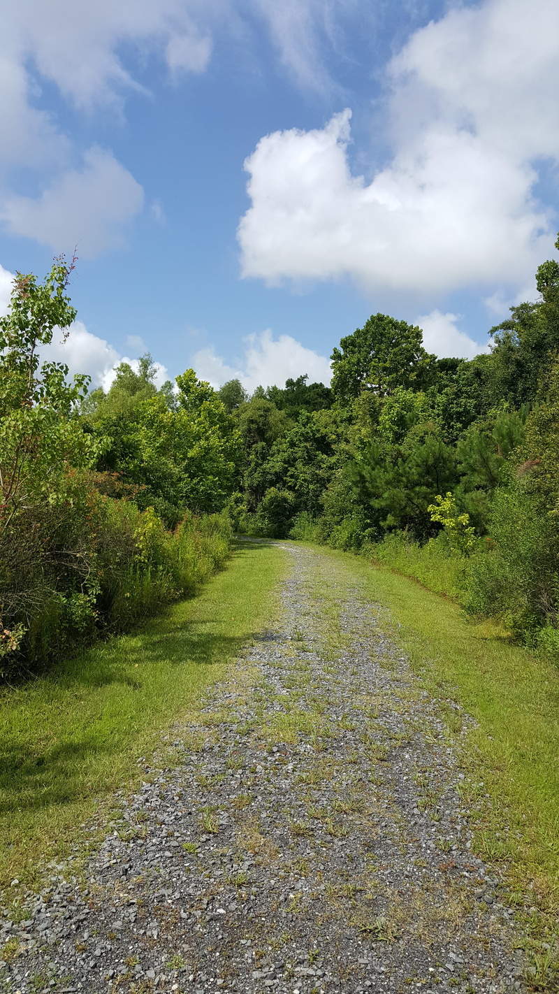 travel, landscape, tranquil scene, green, conservation, cloud - sky, path, conservation area, growth, area, no people, grass, field, nature, tranquility