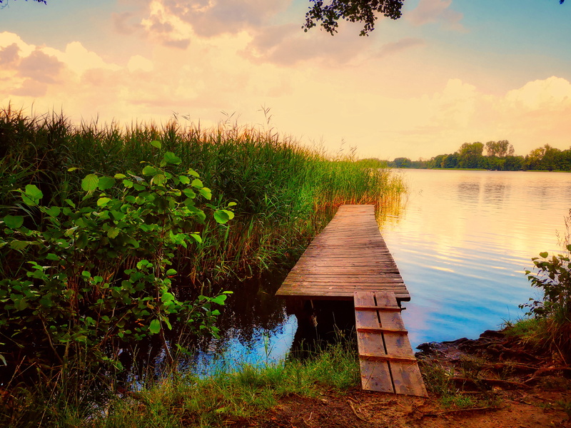 landscape, cloud - sky, scenics - nature, grass, dock, wandlitzsee, wood - material, lake, web, beauty in nature, abendstimmung, bathing place, blue, investors