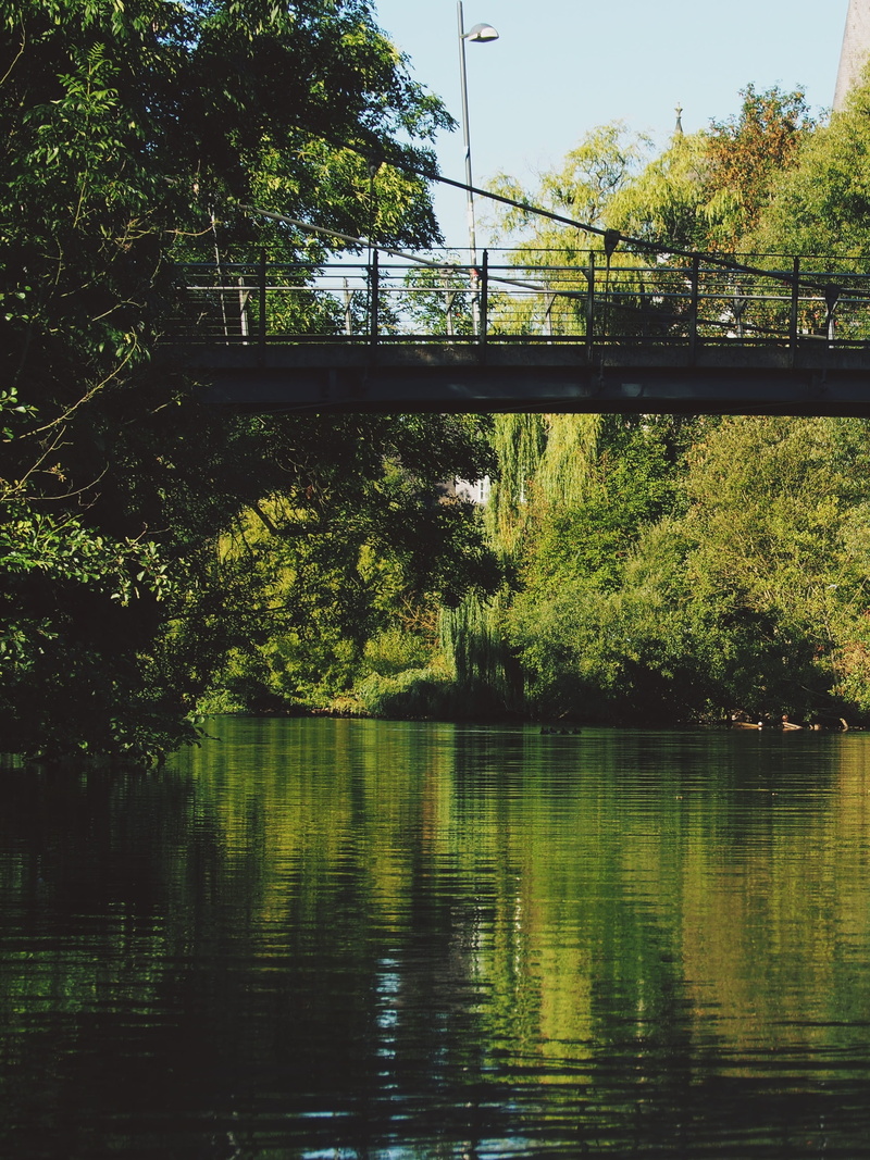 trees, mood, River, bridge, no people, built structure, plant, growth, scenics - nature, Hesse, day, tranquility, marburg, waters, Water, lake, outdoors