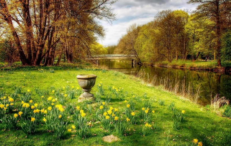land, tranquil scene, scenics - nature, tree, atmospheric, green, still, summer, growth, no people, bridge, braunschweig, grass, flower, light, trees, day