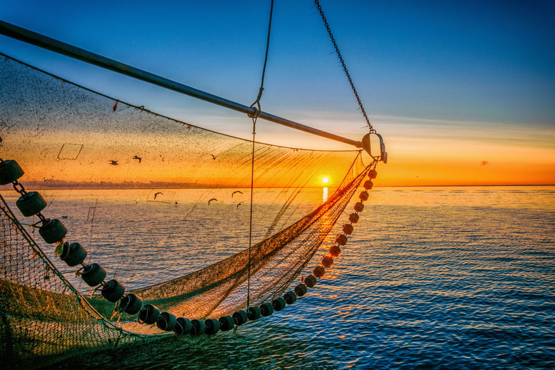 sun, sunset, nautical vessel, sunlight, tides, shrimp, coast, fish, sky, networks, idyllic, 5K, body, sea, no people, scenics - nature, net, north sea