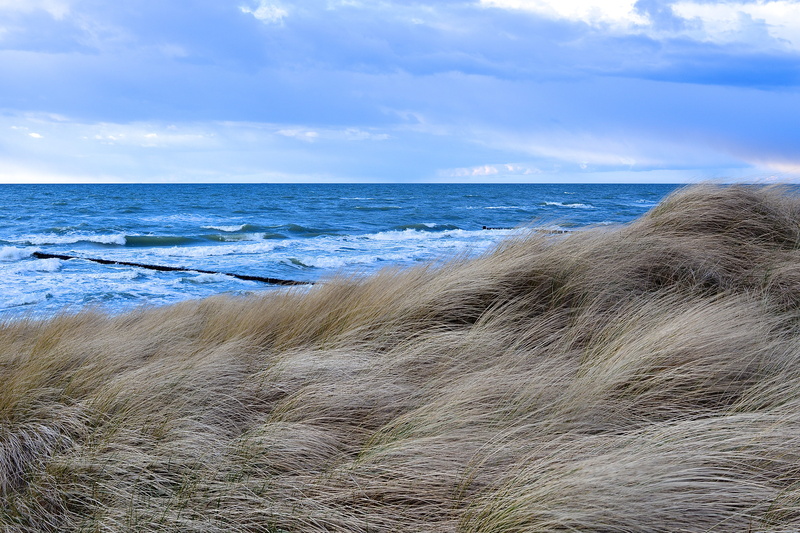 dunes, beach, scenics - nature, germany, wave, day, coast, fischland, grass, plant, horizon over water, no people, beauty in nature, sky, mecklenburg, 5K