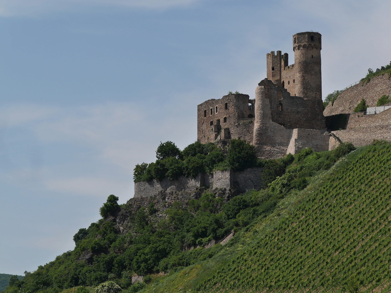 the past, no people, old ruin, built structure, 2K, vineyard, nature, bingen, rhine valley, green color, history, tree, castle, stone wall, ehrenfels