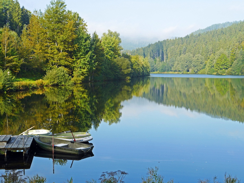 idyllic, 4K, tranquility, conifers, trees, mountains, lake, investors, growth, nautical vessel, outdoors, clear, reflection, dam, water surface, water power