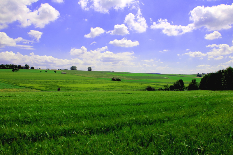 landscapes, agriculture, cloud - Sky, environment, landscaped, spring, crop, Landscape, Hill, Horizon, green Color, scenics, tranquility, non-Urban Scene