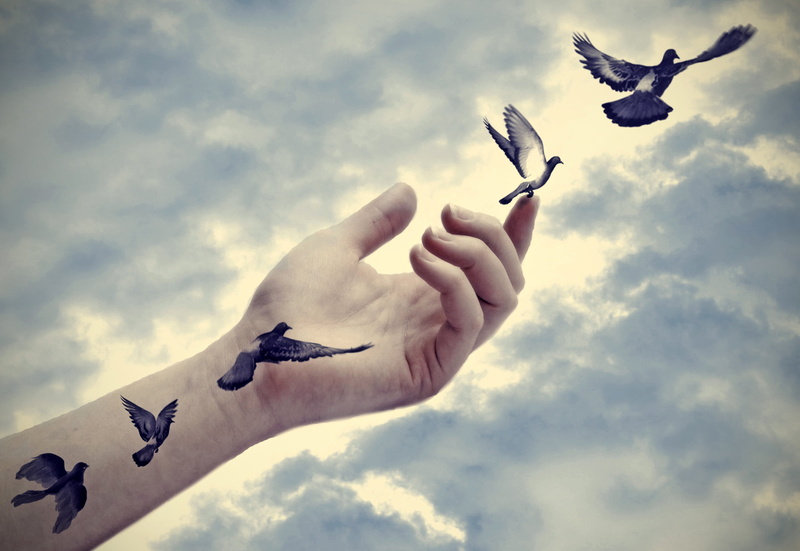 low angle view, hand, flight, person, 2K, seagull, finger, body part, peace, nature, tattoo, one person, real people, sky, animal themes, real, bird, spread wings