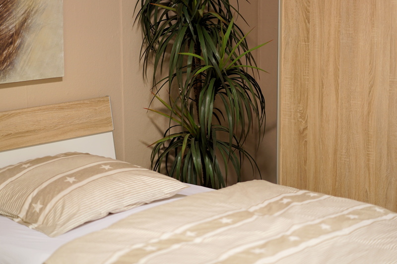 textile, leafed, live, beds, architecture, sheet, indoors, double bed, wealth, clean, wood, lamp, bedspread, beside, linen, no people, relaxation, hotel
