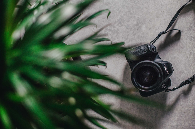 photographer, food, electronics, camera - photographic equipment, canon, black, arts culture and entertainment, camera lens, nature, flower, floor, no people