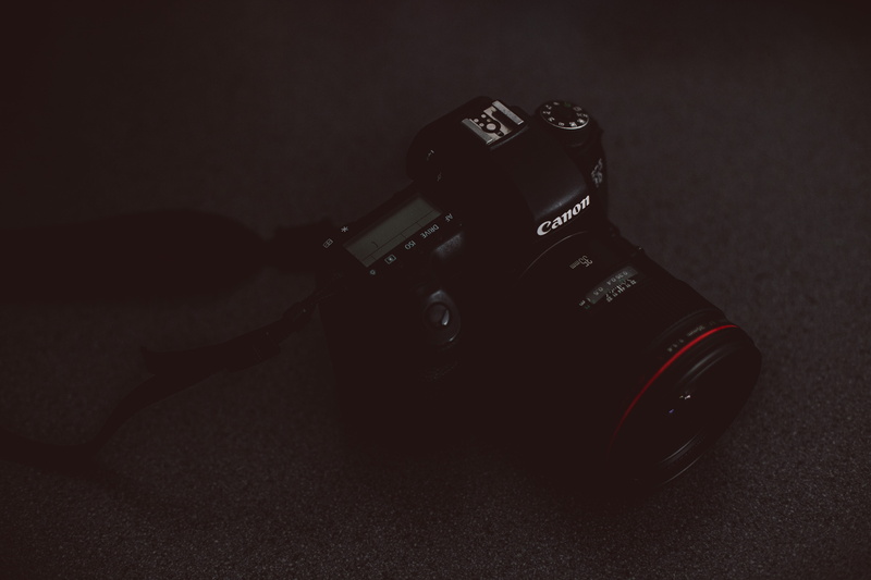 plant, screen, lcd screen, camera - photographic equipment, lens cap, fruit, camera, technology, digital single-lens reflex camera, single object, digital camera