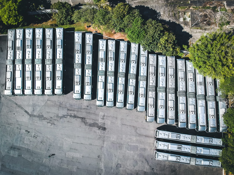 tree, apartment building, built structure, safety, protection, path, buildings, green color, brazil, urban, security, ministro de - r. dos andrade, pavement