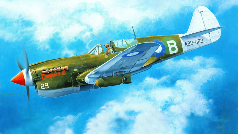 Curtiss, Kittyhawk, P-40, WW2., art, Tomahawk, the plane, Warhawk, 1080P, American, fighter