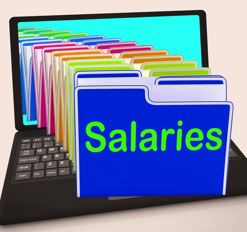 studio shot, earnings, web, data, computer network, salaries, internet, computer keyboard, wireless technology, www, pay salaries, paying, no people, remunerate